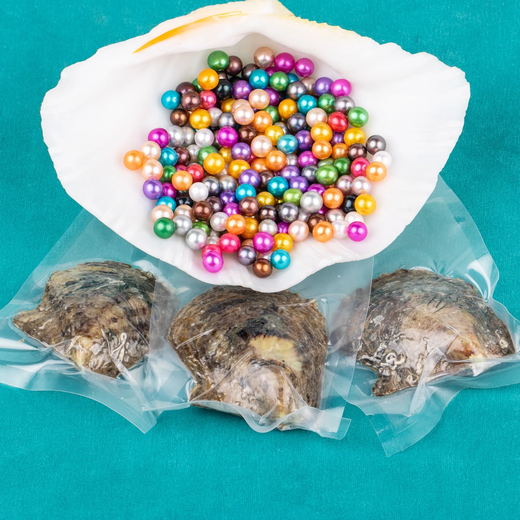 Love Wish Pearl Party Gift Vacuum-packed 6-7mm 4a quality akoya 2 pearl in oyster Cultured twin akoya Oyster